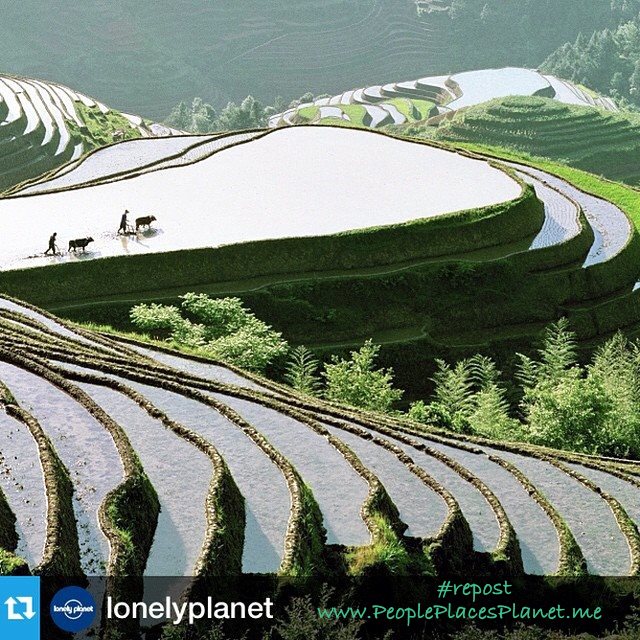 PPP-Places-Longsheng-China