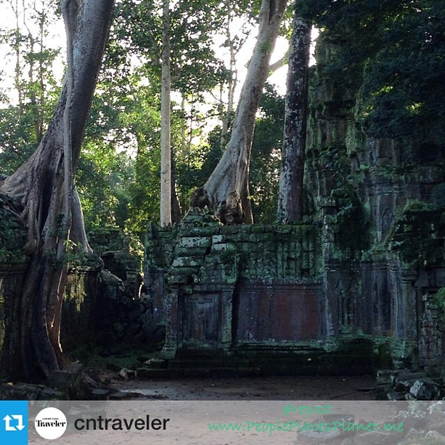 PPP-Places-Ta-Prohm-Temple-Cambodia