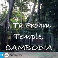 Ta Prohm Temple – CAMBODIA ~ PLACES thumbnail
