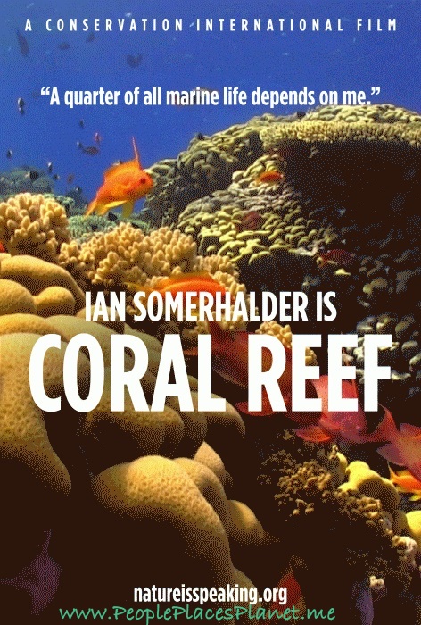 PPP-Planet-Ian-Somerhalder-coral-reef