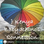 Kenya Baby Rhinos Connection ~ PLANET thumbnail