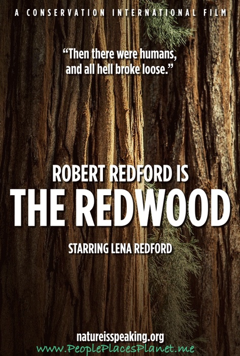 PPP-Planet-Robert-Redford-Redwood