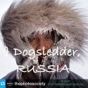Dogsledder, Russia ~ PEOPLE