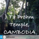 Ta Prohm Temple - CAMBODIA ~ PLACES