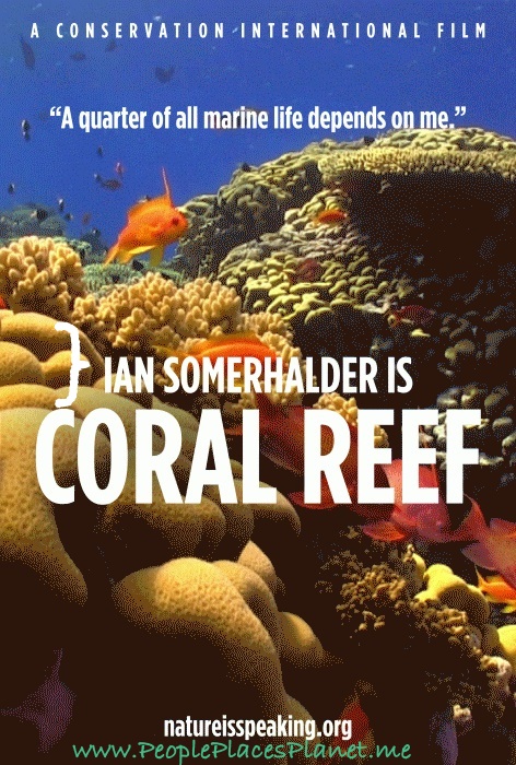 Ian Somerhalder is CORAL REEF ~ FILM (Short Film)