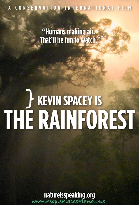 Kevin Spacey is THE RAINFOREST ~ FILM (Short Film)