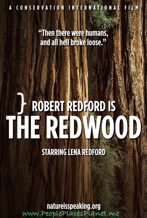 Robert Redford is THE REDWOOD ~ FILM (Short Film)